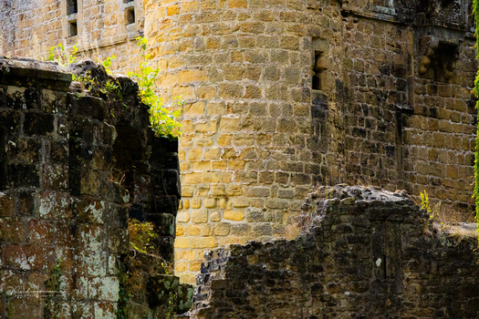 Weathered stone fortress wall with moss-covered ruins in foreground, sunlit golden masonry visible above.