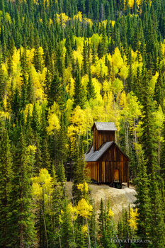 Aerial view of an isolated wooden cabin surrounded by dense forest with golden larch trees in autumn.