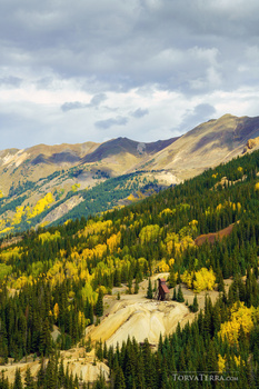 Mountain valley landscape with golden aspen trees interspersed among evergreen forest under dramatic clouds.