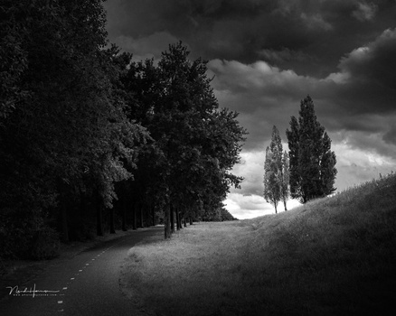 Tree-lined rural path with dramatic cloudy sky and distant cypress trees on hillside.