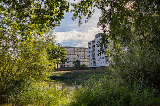 Apartment building viewed through foreground vegetation across a river on an overcast day.