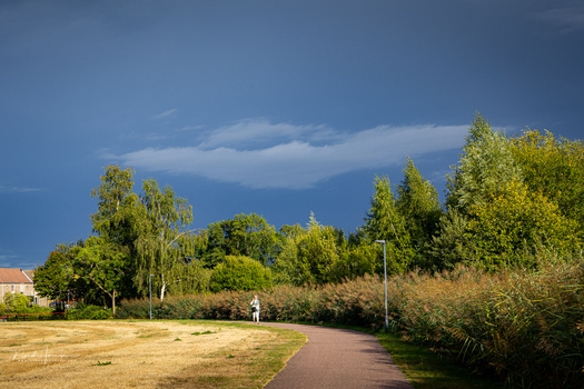 Park pathway with trees and dramatic blue sky overhead.