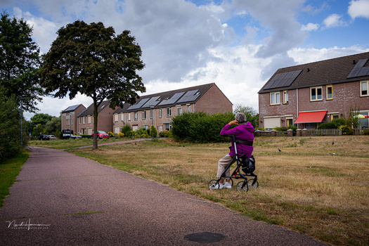 Person in purple jacket pushing a stroller on a paved path beside residential brick houses.