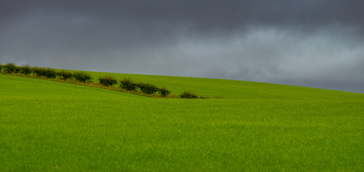 Rolling green hillside with dramatic storm clouds gathering overhead.