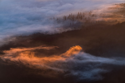Mountain valley filled with layered mist at sunrise, coniferous forest silhouetted against golden and blue sky.