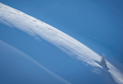 Snow-covered alpine slope descending at a steep angle with a lone conifer tree silhouetted against clear blue sky.