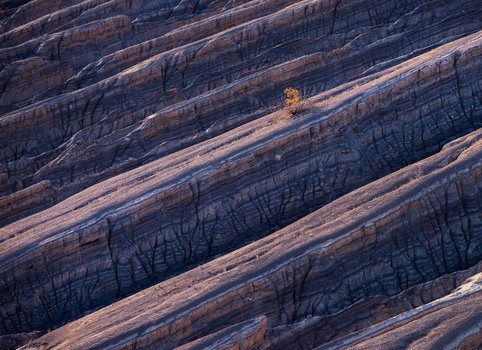 Aerial view of burned hillside with charred trees and thermal imaging highlighting a small hot spot among cooling terrain.