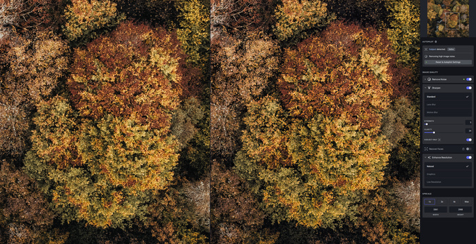 Screenshot showing before-and-after comparison of aerial forest canopy with editing adjustments panel visible.