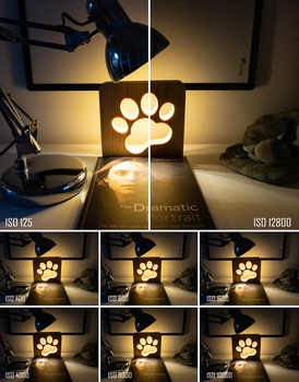 Paw-shaped light fixture photographed at different ISO settings and camera angles to demonstrate exposure and noise variation.
