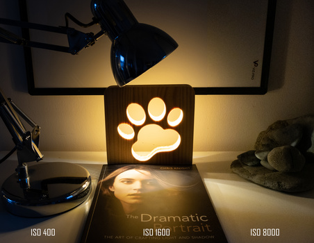 Desk setup with paw print light box illuminated among photography books and lighting equipment.