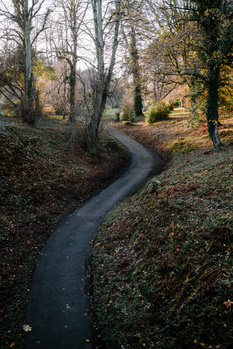 Winding asphalt path curves through a woodland landscape with bare and evergreen trees in autumn.