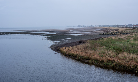 Coastal marsh landscape with reed beds along waterway and distant town skyline under overcast sky.