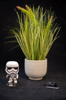 Stormtrooper figurine positioned next to potted ornamental grass against black background.