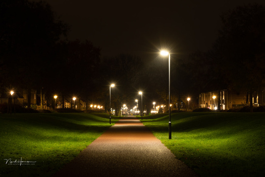 Nighttime park scene with illuminated pathway between grassy areas and street lights.
