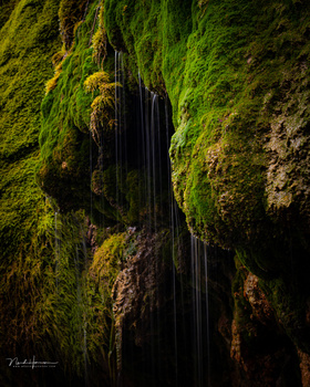 Cascading water flows down moss-covered basalt columns in a narrow canyon.