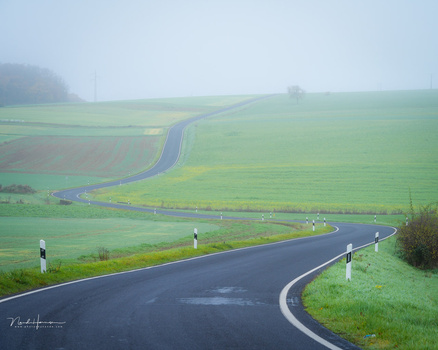 Curved asphalt road winding through misty green rolling hills with yellow wildflowers.