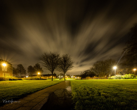 Nighttime park scene with bare trees silhouetted against dramatic sky and street lamps.