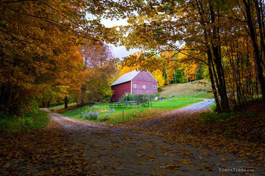 Red barn with yellow roof nestled among autumn trees along a dirt road.