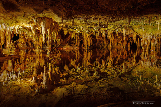 Underground cave chamber filled with thousands of stalactites and stalagmites illuminated in warm golden light.