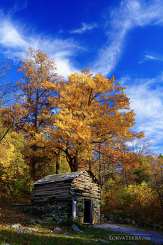 Weathered log cabin surrounded by golden autumn foliage under a bright blue sky with wispy clouds.