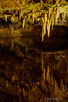 Golden stalactites and their reflections in still water inside an illuminated cave chamber.