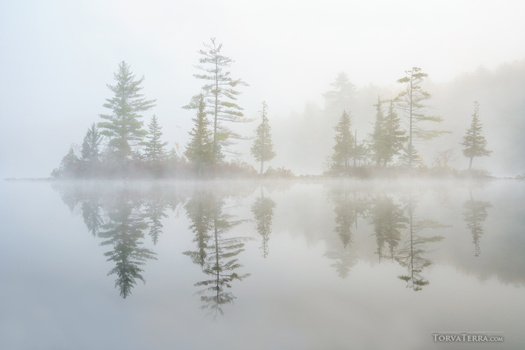 Coniferous forest silhouettes reflected in still water shrouded in dense fog.