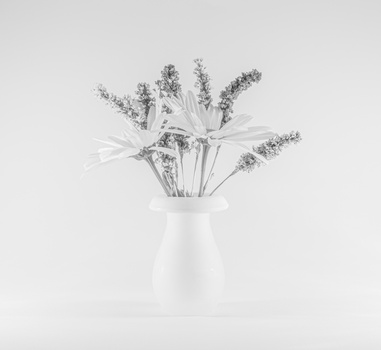 Dried lavender and grasses arranged in a white ceramic vase against a neutral background.