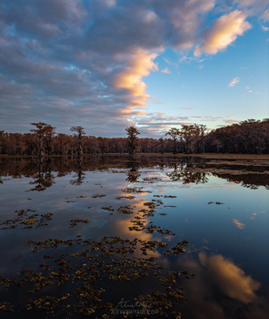Wetland landscape at sunset with scattered trees reflected in still water under golden and blue sky.