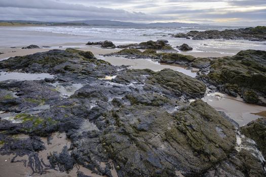 Rocky coastal landscape with moss-covered boulders, wet sand, and gentle waves under overcast sky.