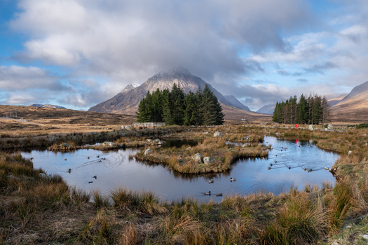 Snow-capped mountain peak rising above a moorland valley with scattered ponds and evergreen trees.