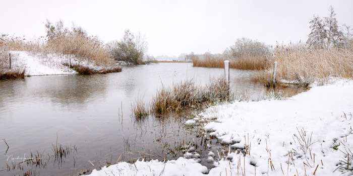 Snow-lined banks of a wetland or marsh with frozen reeds and still water reflecting a gray winter sky.