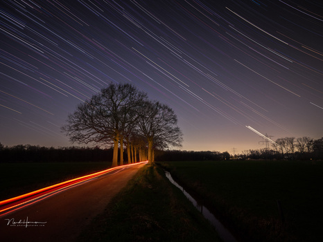 Bare tree illuminated by orange light trail on a rural road beneath a star-filled night sky.