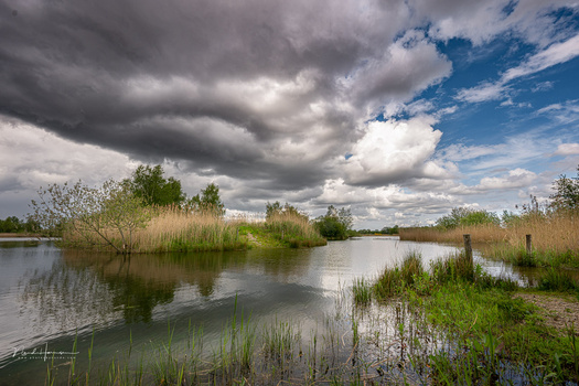 Wetland landscape with reed beds, trees, and dramatic clouds reflected in still water.