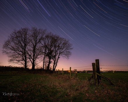 Bare trees silhouetted against twilight sky with star trails and wooden fence in rural field.