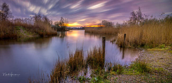 Wetland landscape at sunset with reed beds, calm water, and golden sky reflections.