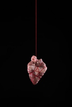 Pink raw meat or organ tissue suspended by a thin cord against a black background.