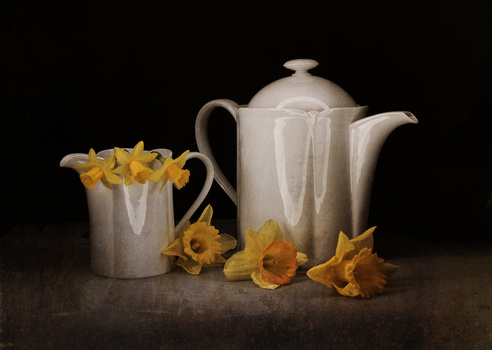 White ceramic teapot and pitcher with yellow daffodils arranged on dark surface.