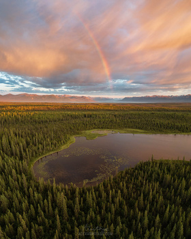 Aerial view of a forested landscape with a dark lake nestled among coniferous trees, dramatic sunset sky with rainbow.