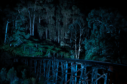 Nighttime forest landscape with wooden bridge over dark water, illuminated by cool blue light.