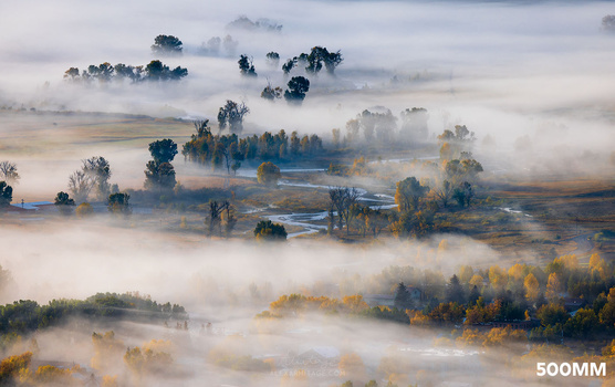 Misty valley landscape with scattered trees emerging through thick fog at dawn or dusk.