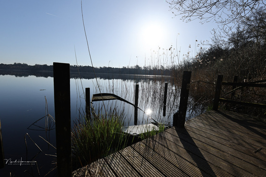 Wooden dock extending into a calm, mirror-like lake at sunrise or sunset with bare trees lining the shore.