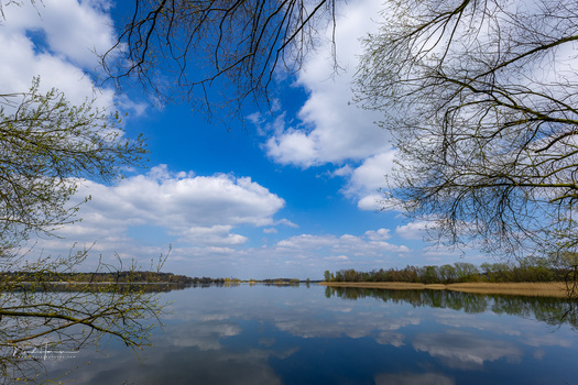 Calm lake reflecting blue sky and clouds, framed by bare tree branches on both sides.