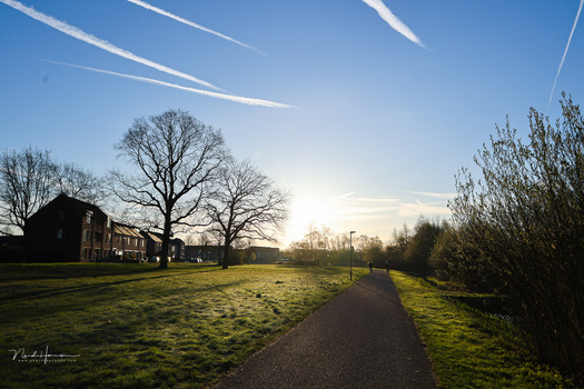 Tree-lined path at golden hour with contrails streaking across clear blue sky.
