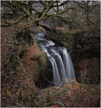 Multi-tiered waterfall flowing through bare trees and leaf-covered ground in winter woodland.