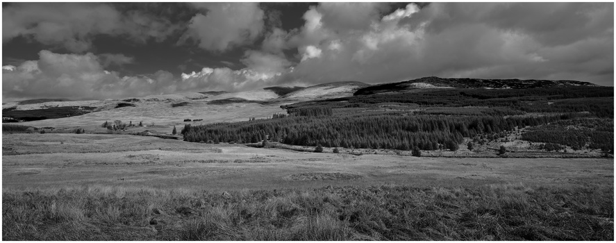 Rolling moorland with coniferous forest and distant mountains under dramatic cloudy sky.