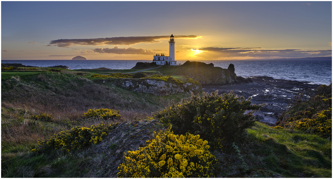 Lighthouse on rocky coastal headland at sunset with yellow flowering shrubs in foreground.