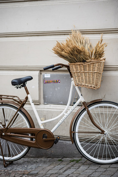 White vintage bicycle with wicker basket of dried wheat against a white garage door.