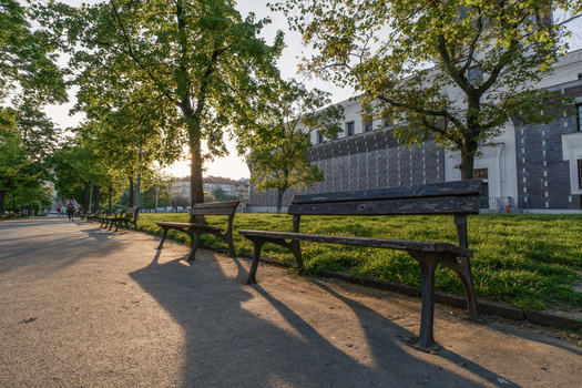 Empty benches casting long shadows on a tree-lined park path at golden hour.