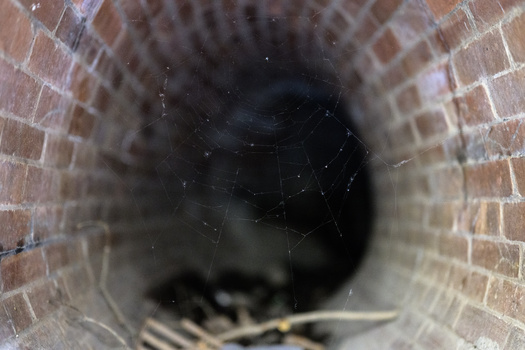 Spider web strung across the interior of a brick pipe or tunnel, with blurred foliage visible at the far end.