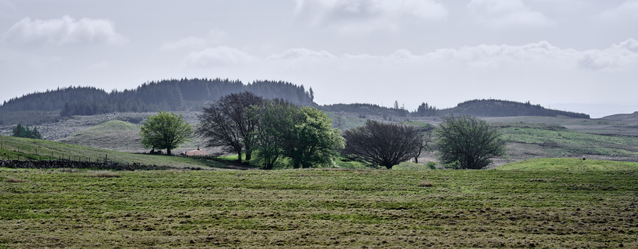 Rolling green hills with scattered trees and forested mountains under overcast sky.